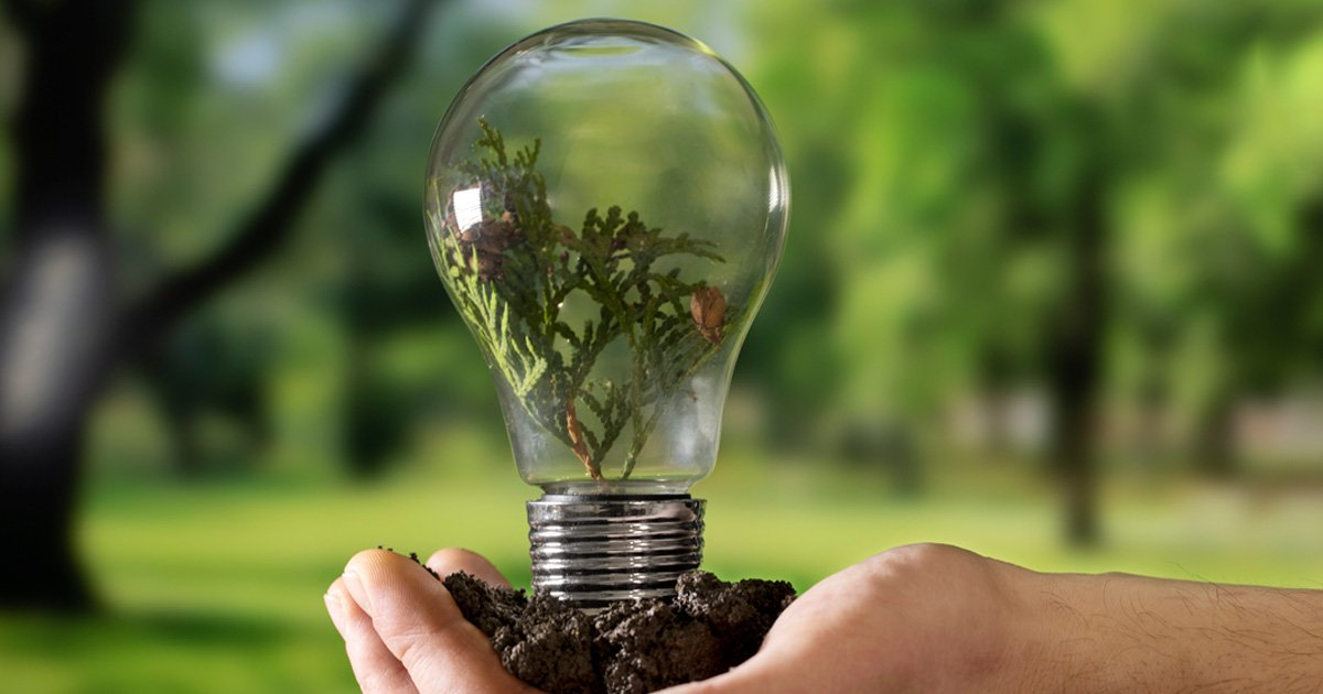 AFR-ENERGIA-INTEDYA-AFR Energía-Tecnología-software-certificación